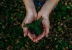 buoni propositi ecosostenibili