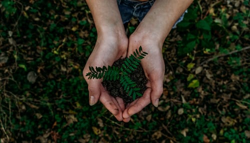 Buoni propositi ecosostenibili per il 2023